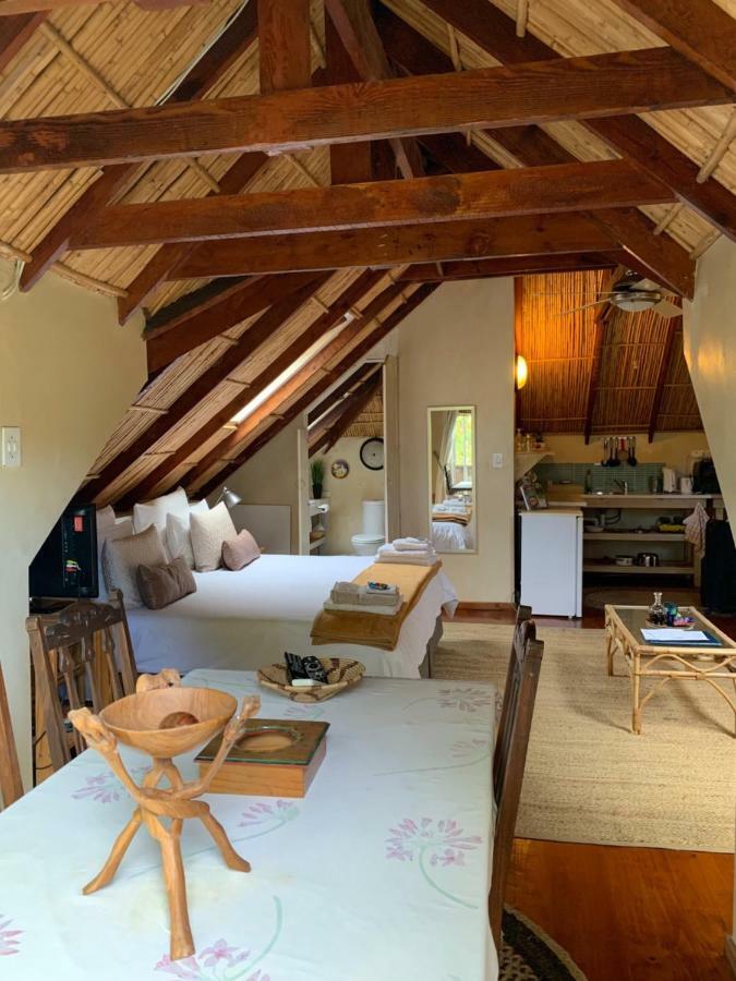 كيب تاون Glenhaven Guesthouse المظهر الخارجي الصورة